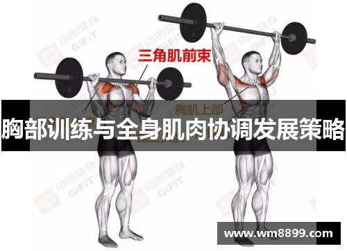 胸部训练与全身肌肉协调发展策略